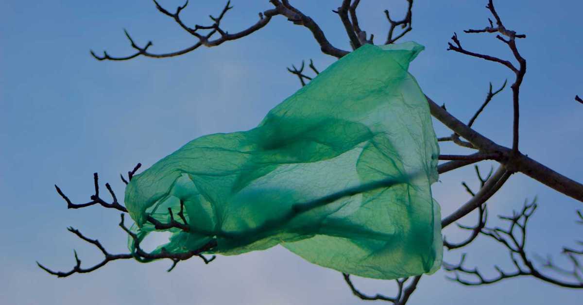 Зашто нам је тешко да се одрекнемо пластичних кеса и када ћемо их потпуно протерати