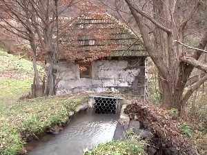 Тајну доброг брашна чувају старе воденице – у чему је разлика 