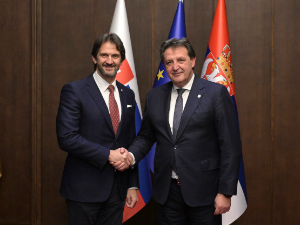 Гашић са министром одбране Словачке Калинаком