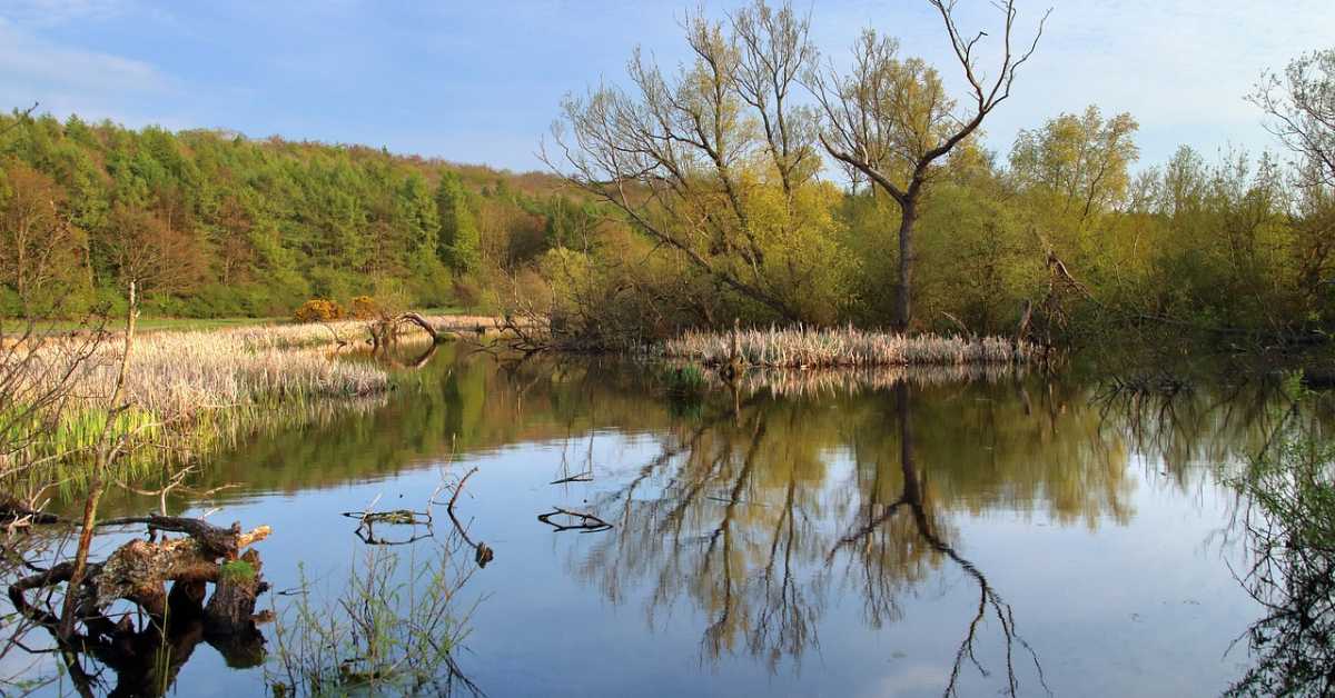 Келтски златници стари 2.300 година пронађени у швајцарској мочвари, зашто су баш ту остављени