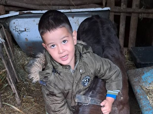 Мали велики људи - Дикићи