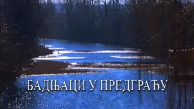 Српски источници: Бадњаци у предрађу (R)