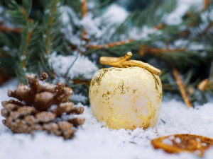 Издања и концерти у 2025. години