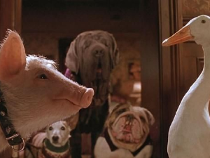 Бејб, прасе у граду