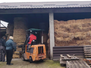 МУП: Ухапшено пет особа због шверца дувана, оштетили буџет за око 180 милиона динара