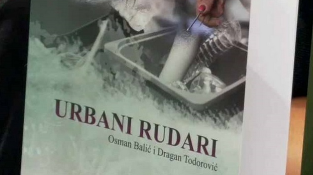 Romano Them: Између Закона и праксе
