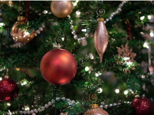 Празници и поезија