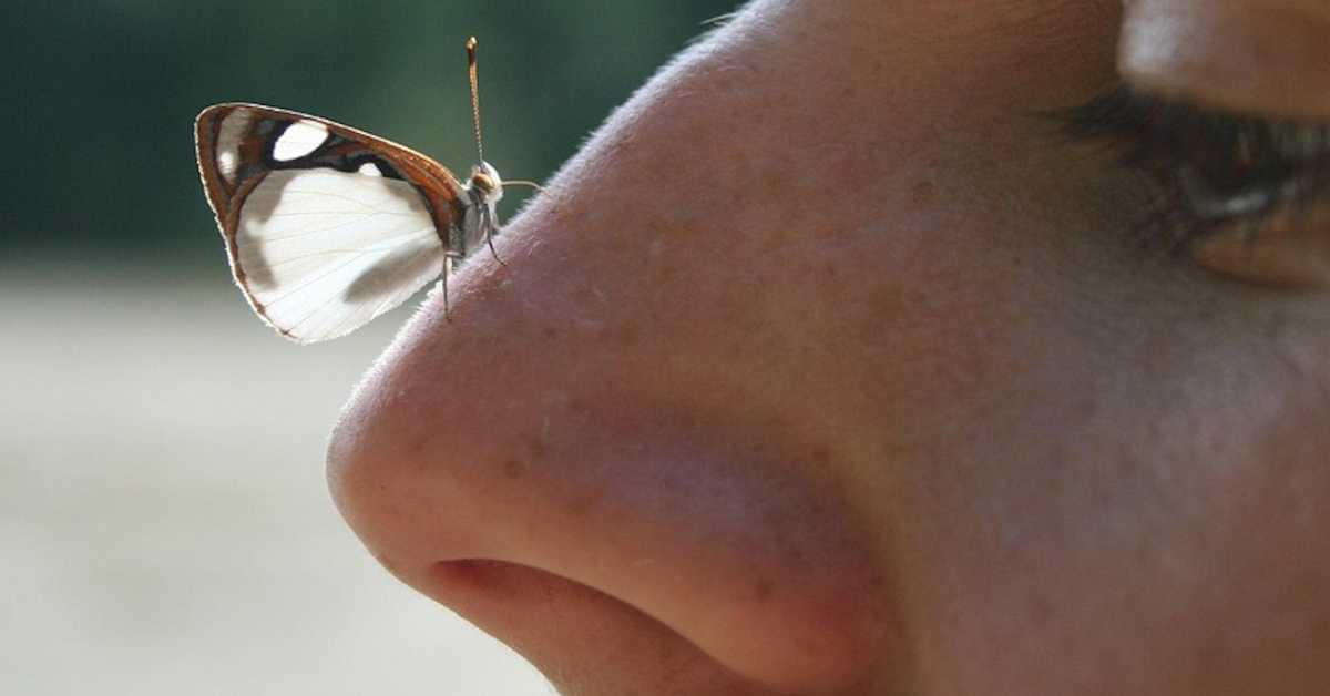 Чачкање носа има изненађујућу везу са Алцхајмеровом болешћу