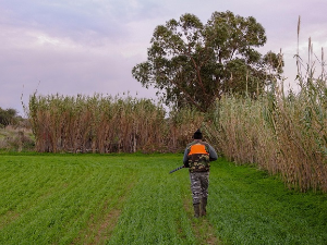 Мушкарац убијен после лова у околини Зрењанина, пушка опалила током одлагања у возило