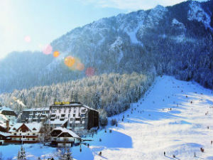 Сања Вулетић