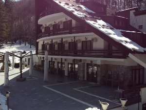  Јастребац пред зимску сезону