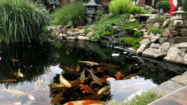 Екологери: Суботичка зен башта