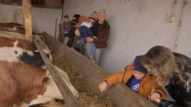 Инклузија: Приче малих хероја