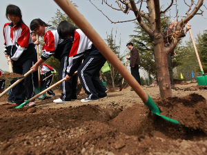Кина посадила толико дрвећа да је променила водени циклус  у читавој земљи, неочекиване последице „озелењавања“