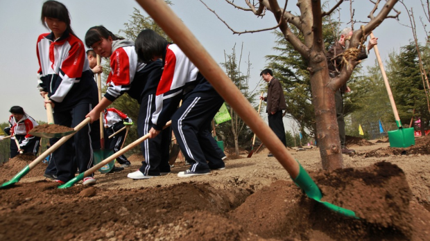 Кина посадила толико дрвећа да је променила водени циклус  у читавој земљи, неочекиване последице „озелењавања“