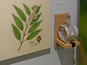 Корак ка науци