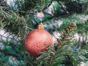 У сусрет 2026. години