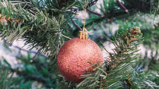 Ухвати дан: У сусрет 2026. години