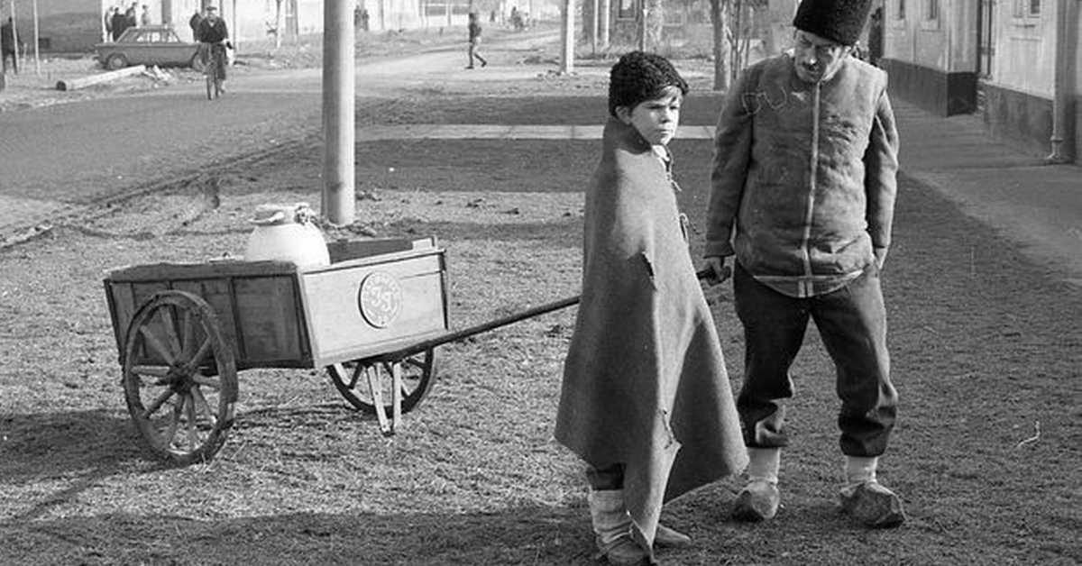 Заводљива телевизија: Салаш у Малом Риту