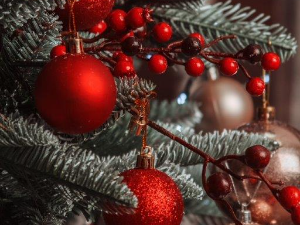 Еко перспективе: Стиже нова година 3