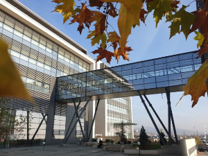 Миљаковић осуђен на две године затвора и казну од 14.000 евра за нереде у Звечану