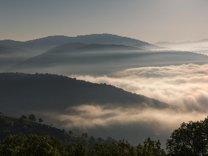 Винил – „Магла паднала“ , Милан Тимотић