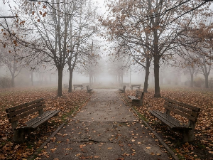 Ујутру и пре подне магла, током дана претежно сунчано – до 14 степени