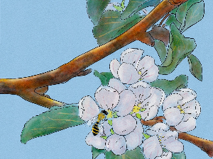 Добро јутро децо: Свети Сава и ђаци