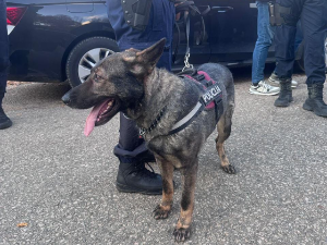 У Бару ухапшен осумњичени за двоструко убиство у Никшићу