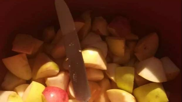 Говори да бих те видео: Ходање по земљи