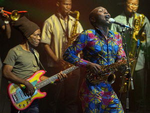 Музика света – Шеун Кути