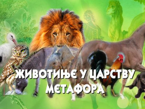 Животиње у царству метафора:	Мачка