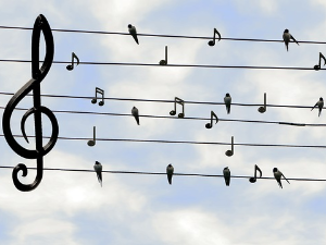 Музика вива – Дела Хенрика Едегора