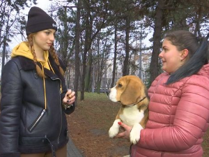 Промаја: 	Та дивна створења, 2. део