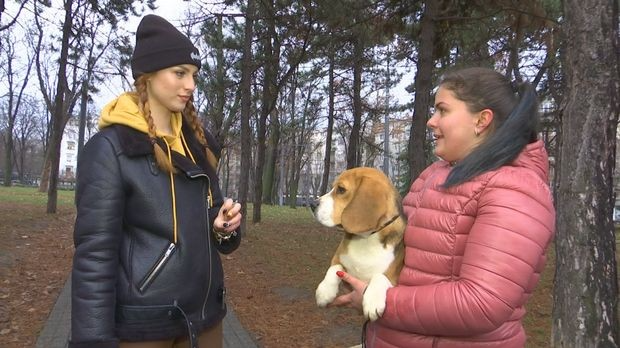 Промаја: Та дивна створења, 2. део Промаја: Та дивна створења, 2. део