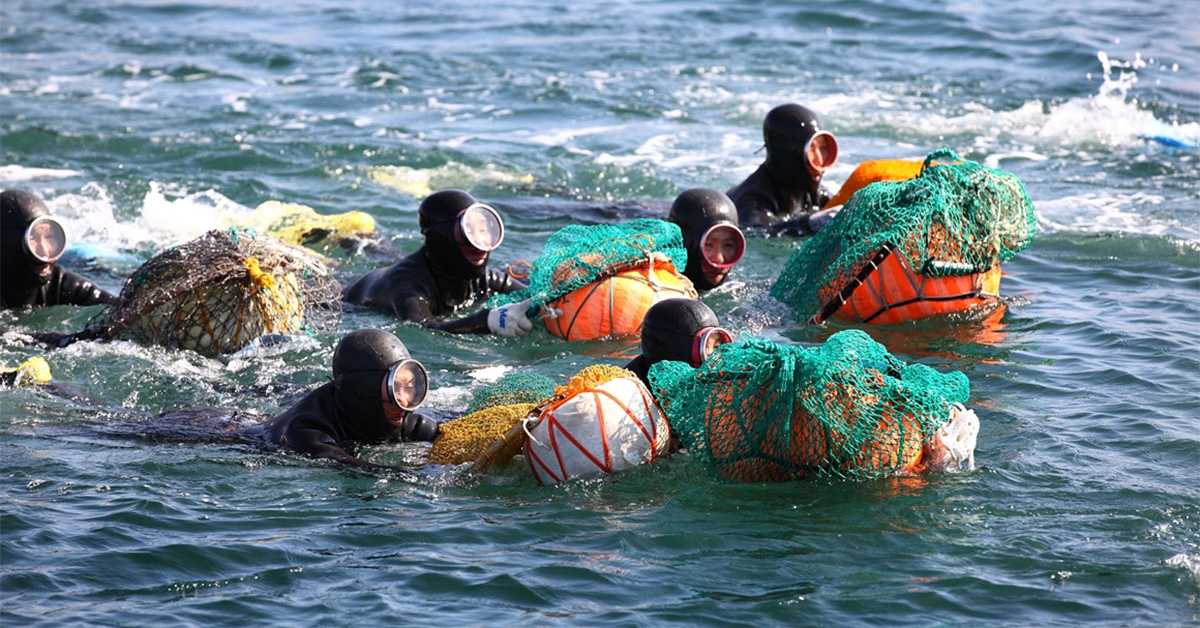Легендарне Јужнокорејке рониоци еволуирале за живот под водом – научници пронашли нове доказе (visitjeju.net) Легендарне Јужнокорејке рониоци еволуирале за живот под водом – научници пронашли нове доказе