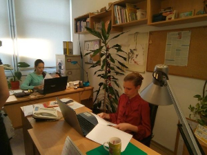 Овако вас видимо:	6-10