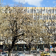 Апелациони суд у Новом Саду деломично уважио жалбу, одређен кућни притвор за троје активиста