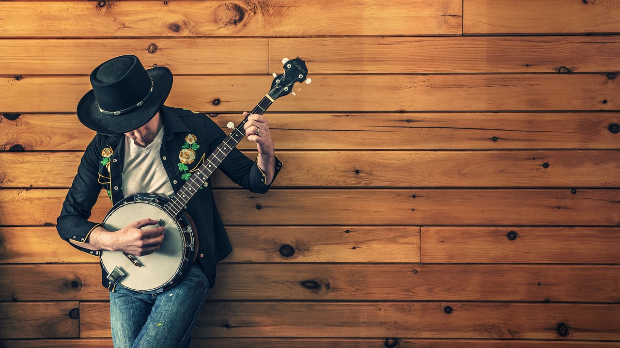 Блуз – Willie Nelson (PIXABAY / PIXABAY) Блуз – Willie Nelson