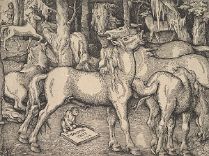 Маршал Салинс: Првобитно политичко друштво (3)