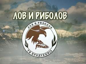 Лов и риболов-Лов са птицама 2.део