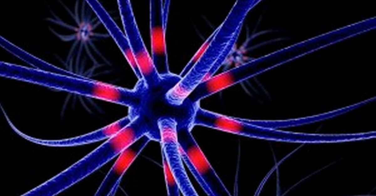 РТС лаб: Памћење и ДНК