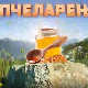 Еко минијатуре: Пчеларење - пчеларство на факултету