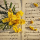 Хенрик Горецки
