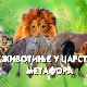 Животиње у царству метафора:	Птице