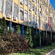 Суд у Новом Саду одредио притвор за осам особа ухапшених током демонстрација, седам да се брани са слободе