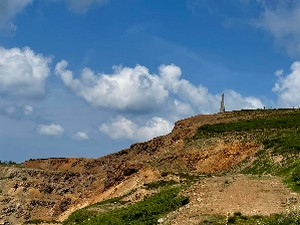 Рударење помоћу биљака