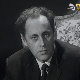 Радивоје Лола Ђукић: Сам међу боровима