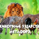 Животиње у царству метафора:	Мачка