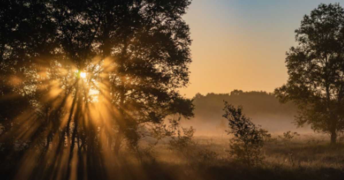 Зашто на јесењу равнодневицу ноћ и дан заправо не трају исто (Freepik) Зашто на јесењу равнодневицу ноћ и дан заправо не трају исто